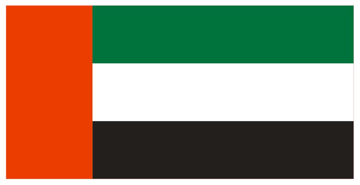 迪拜国旗,阿联酋国旗,dubai flag,迪拜旗定制-作为专业的旗帜生产